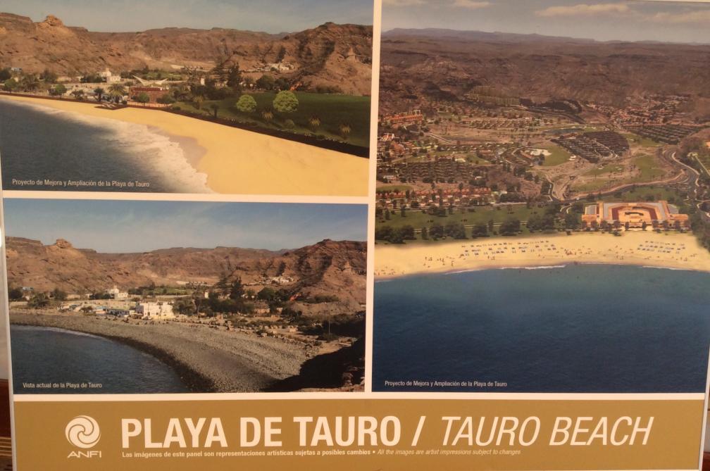 Artist impression of Tauro